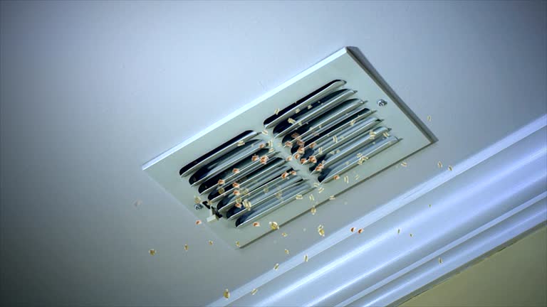 Best Commercial Air Duct Cleaning  in Brighton, TN