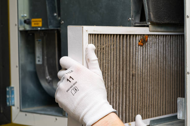 Best Ductwork Cleaning Services  in Brighton, TN